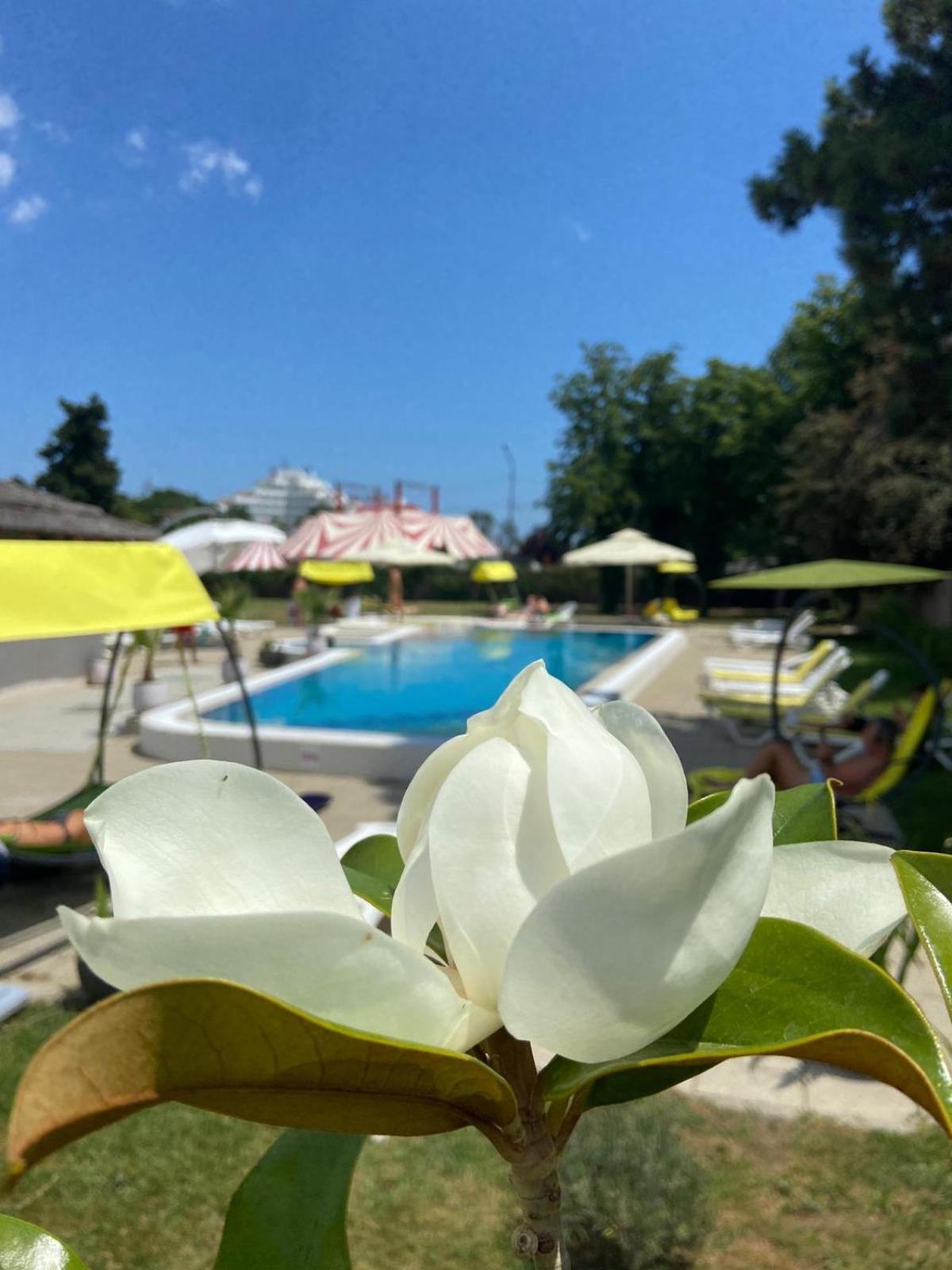 Hotel Iulia Resort Venus Exterior photo